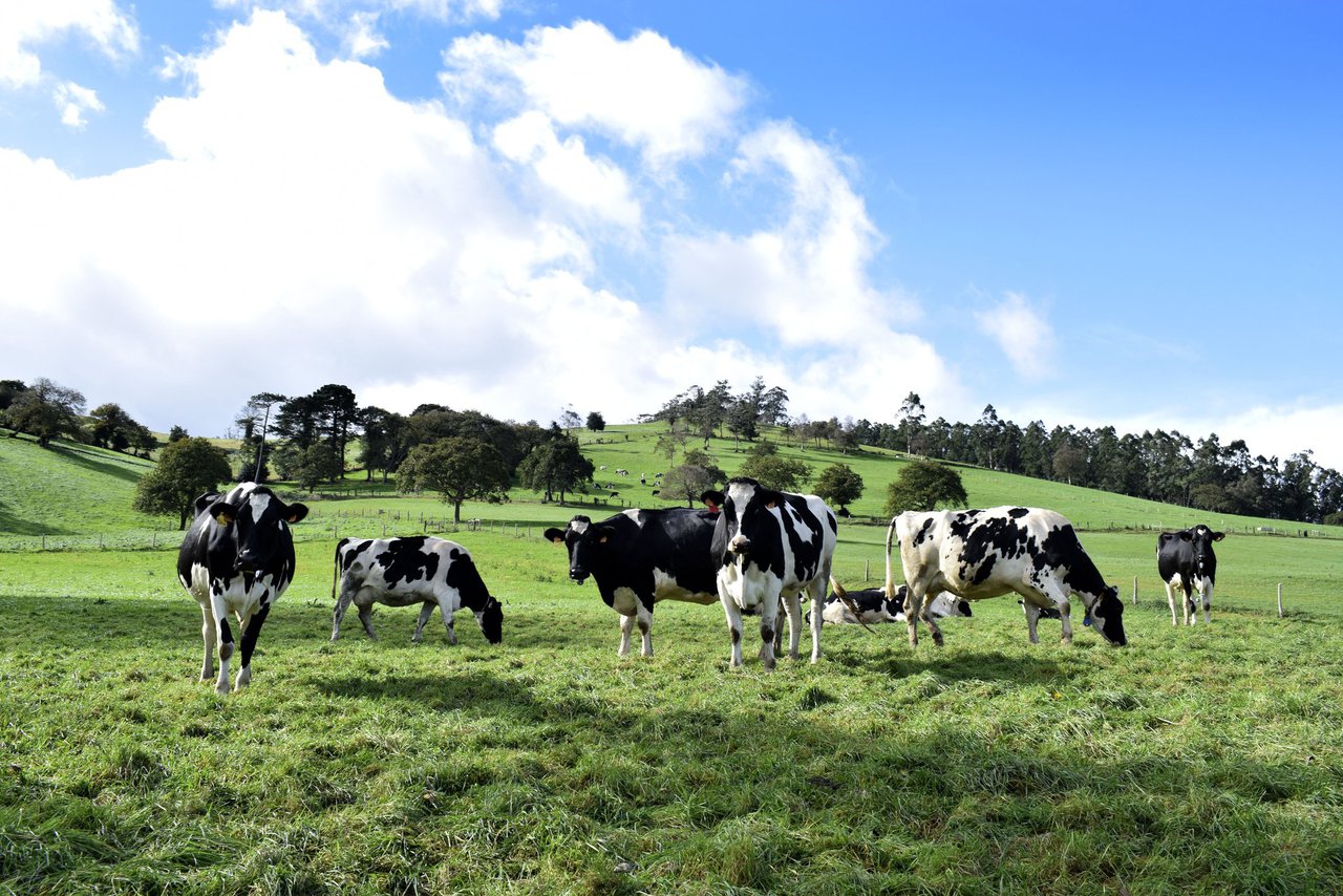 Los agricultores y ganaderos otorgan al seguro agrario la valoración más alta desde 2019