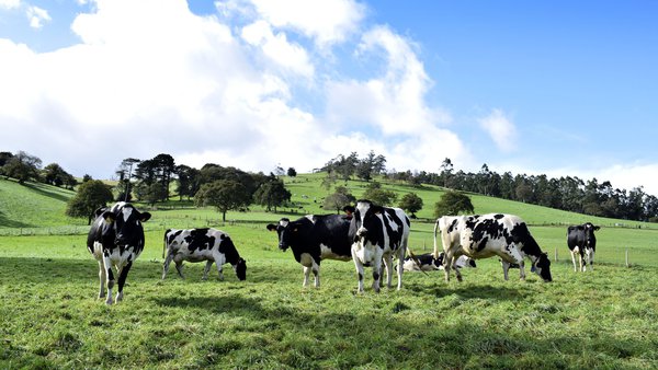 Los agricultores y ganaderos otorgan al seguro agrario la valoración más alta desde 2019