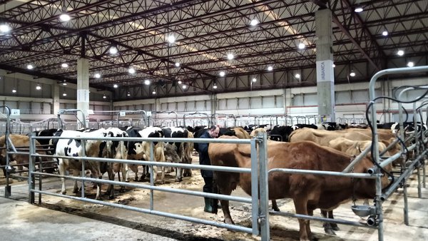 A Central Agropecuaria de Galicia Abanca duplicou en 2022 o seu volume de facturación