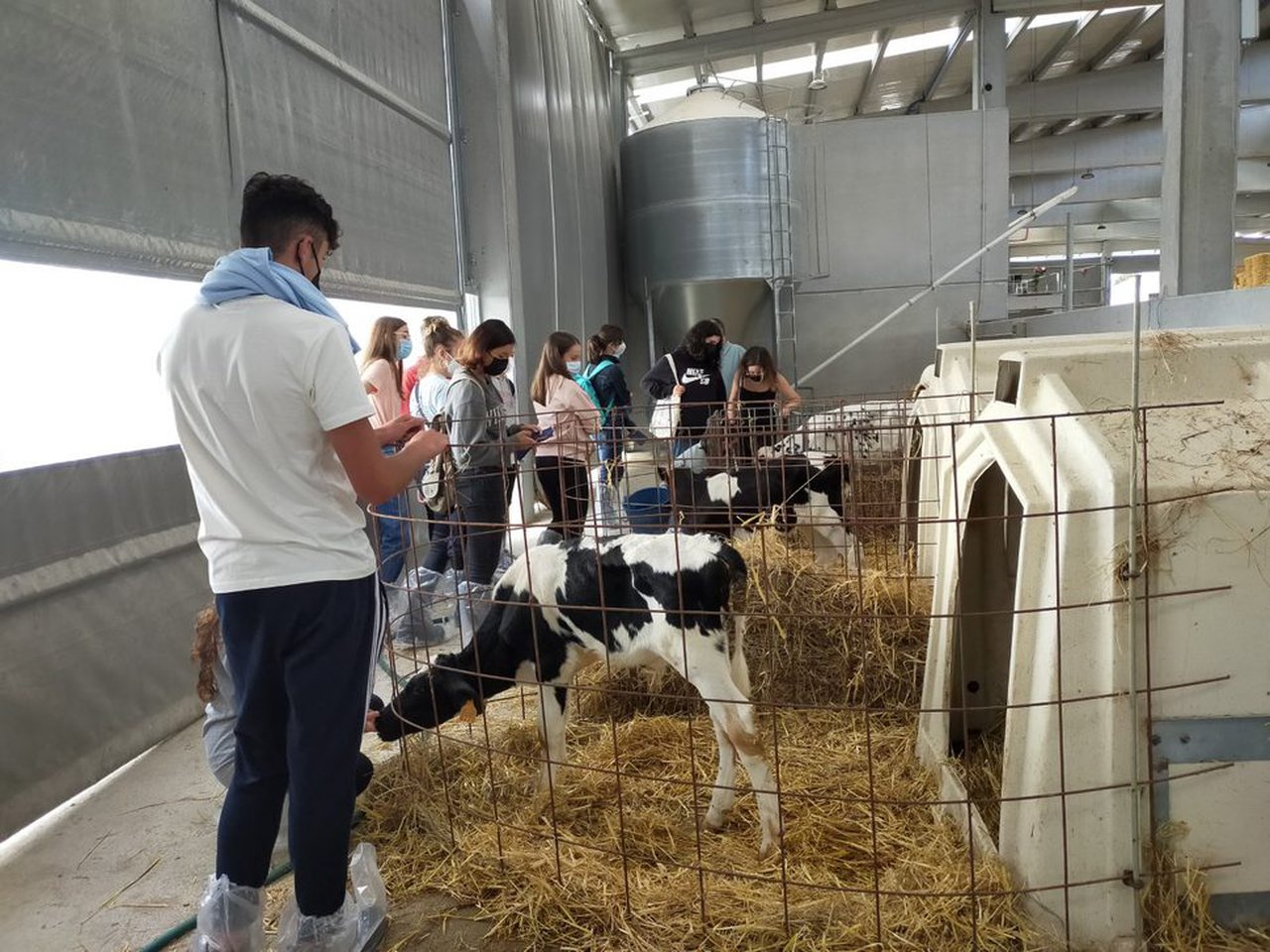Veterinaria leva as súas aulas ata a Granxa do Campus Terra
