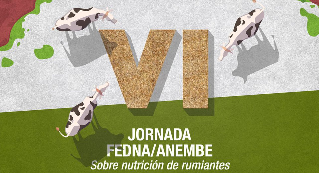 A sexta xornada Fedna-Anembe, a finais de novembro