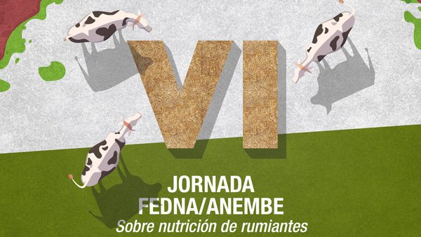 A sexta xornada Fedna-Anembe, a finais de novembro