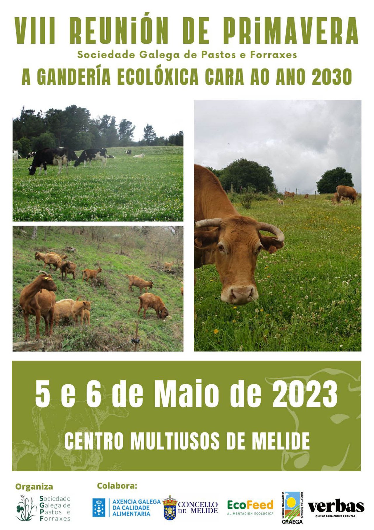 O centro multiusos de Melide acollerá unha nova edición da Reunión de Primavera organizada pola Sociedade Galega de Pastos e Forraxes