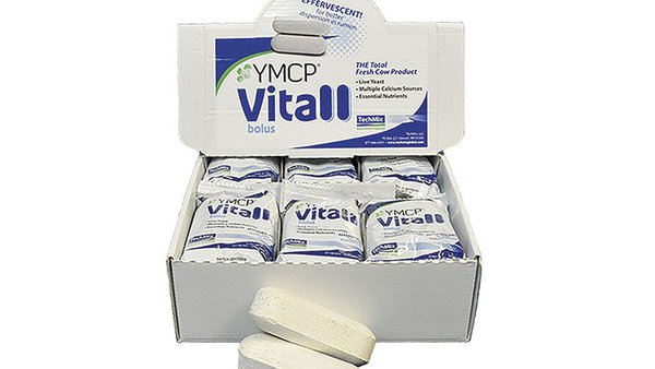 Elanco incorpora YMCP Vitall® ao seu programa  The Vital 90 Days™ para alcanzar o máximo potencial produtivo da vaca acabada de parir