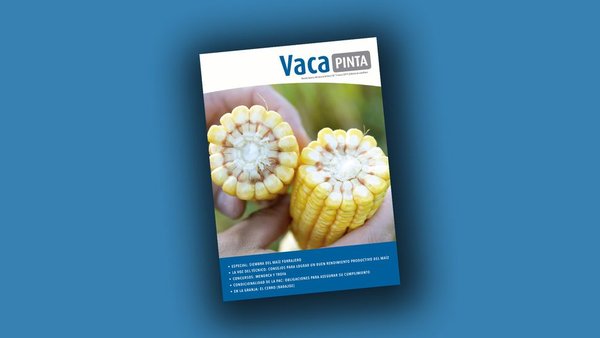 Publicada a edición en castelán de Vaca Pinta 9