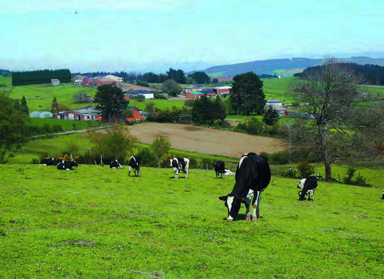 A condicionalidade na Política Agraria Común (PAC)