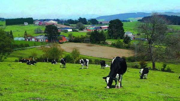 A condicionalidade na Política Agraria Común (PAC)
