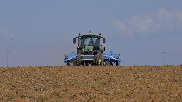 Técnicas actuais para optimizar os recursos no cultivo de millo