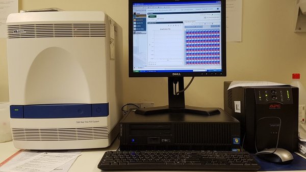 Diagnóstico de mamite bovina por qPCR: utilidade e aplicacións