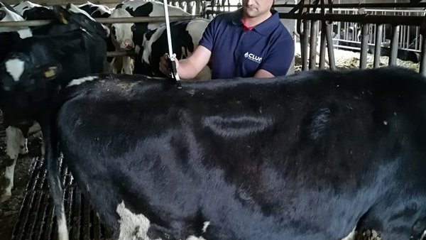 Claves económicas e de manexo na recría de xovencas