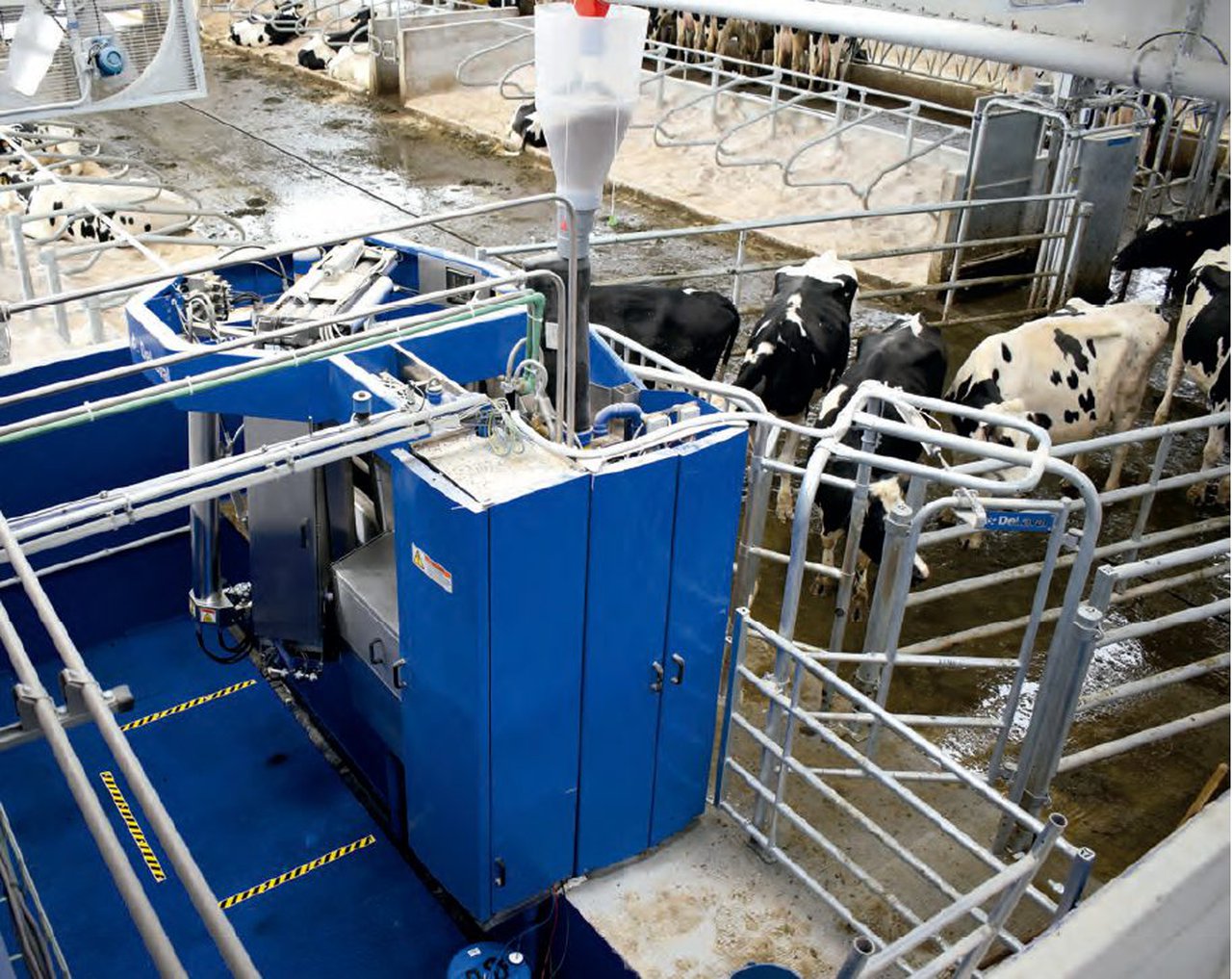 Tipoloxías e estrutura de explotacións leiteiras  con sistema de muxido robotizado no noroeste de España. Grao de satisfacción co sistema
