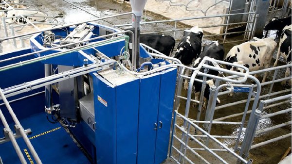 Tipoloxías e estrutura de explotacións leiteiras  con sistema de muxido robotizado no noroeste de España. Grao de satisfacción co sistema