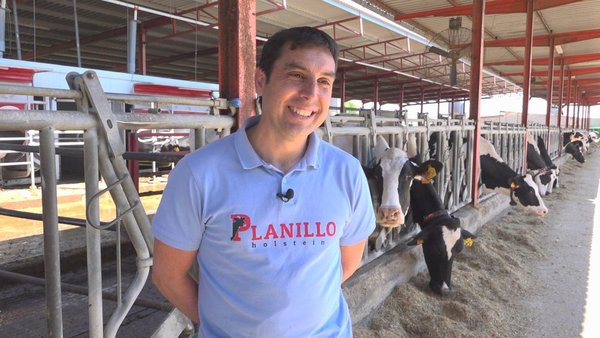 Época de cambios en Planillo Holstein