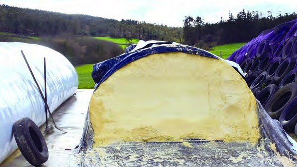 Volatilización do silo de millo: non deixes que se “evapore”