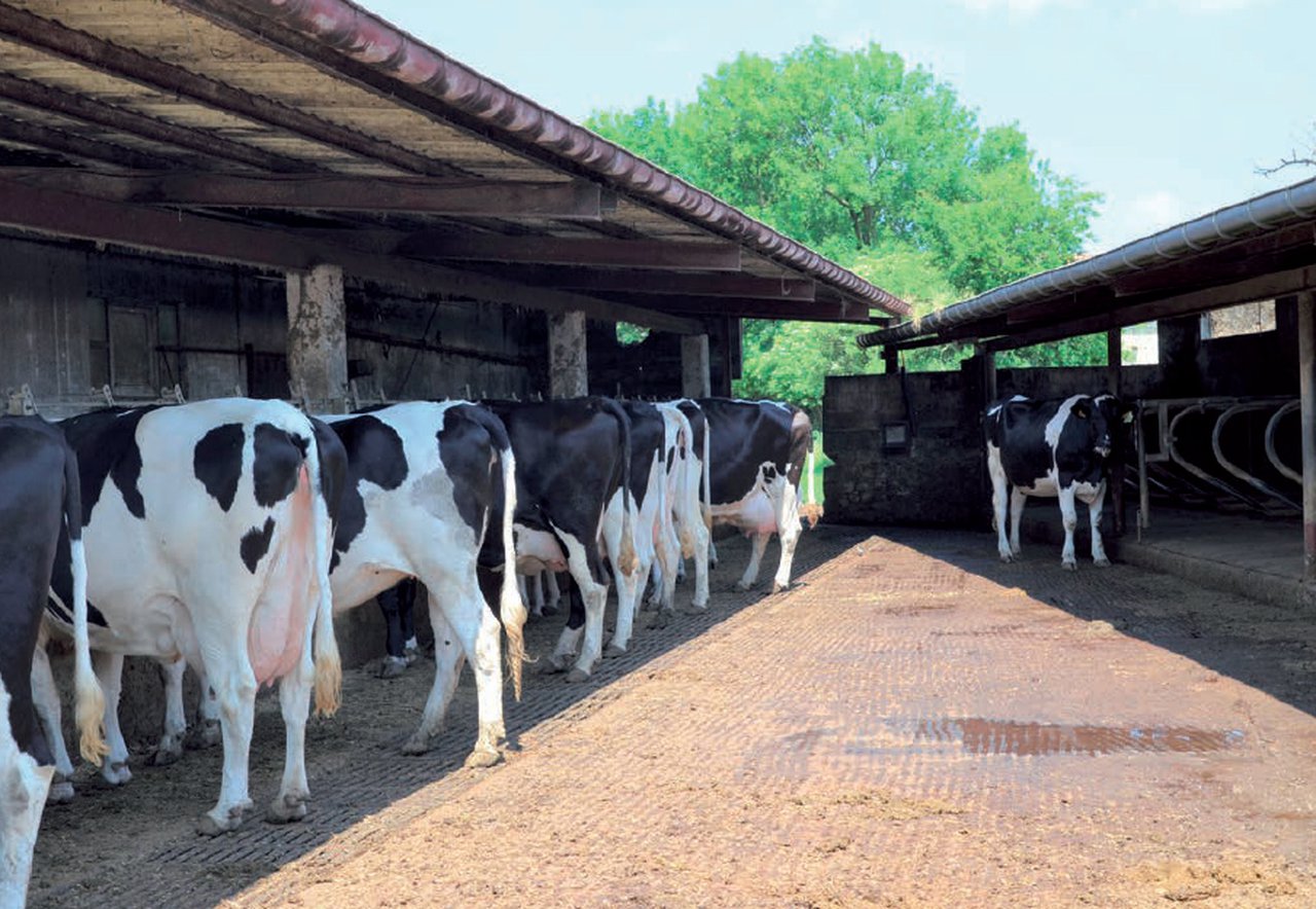 Caracterización produtiva e manexo do territorio dunha mostra de ganderías con vacún de leite en Cantabria segundo o sistema de alimentación