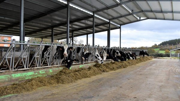 A medida da realidade: vacas de leite, medio ambiente e futuro