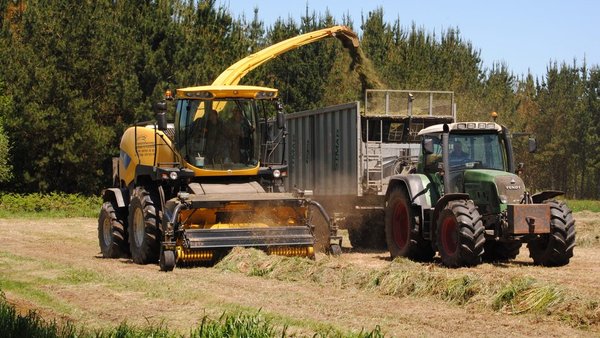 Actualización sobre a calidade do ensilado de herba