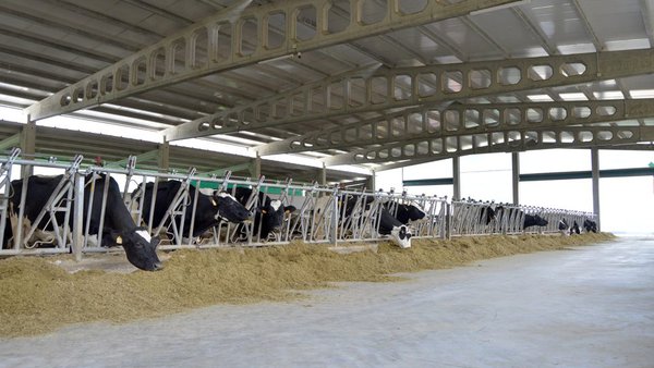 As ADSG galegas obteñen en axudas 2,2 millóns de euros