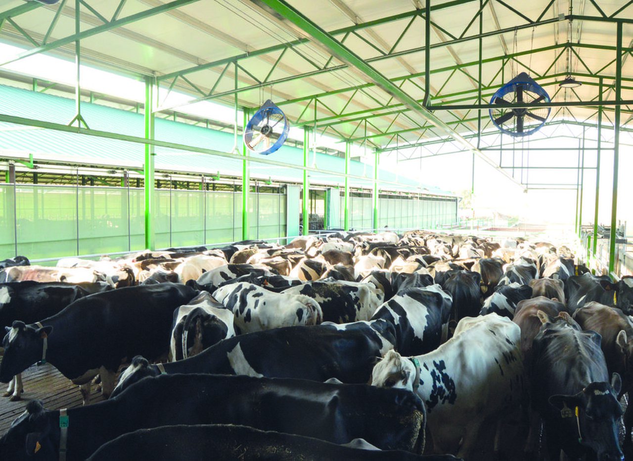 El uso del índice de relación verano-invierno en el rendimiento de las vacas lecheras en diferentes regiones de EE. UU.