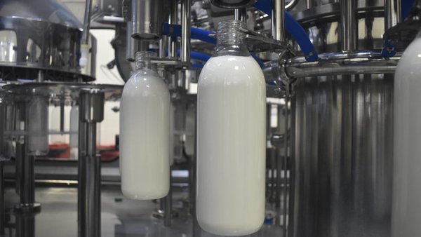 A inclusión de lácteos ou carne de vacún na dieta non aumenta a pegada de carbono persoal