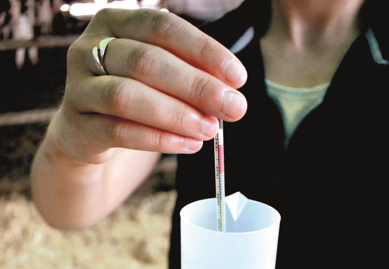 Fallo de la TIP en terneros (2): manejo del encalostramiento