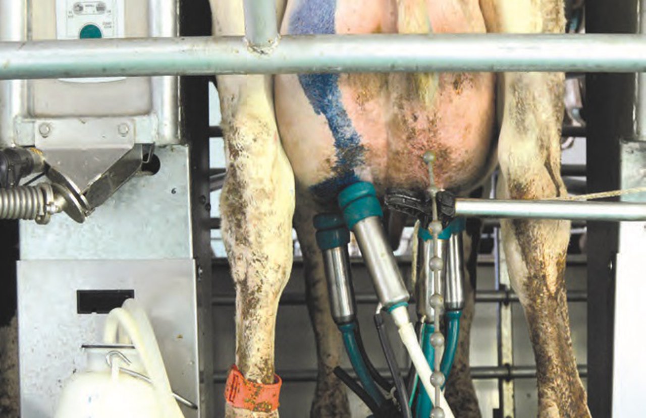 La gestión como herramienta para el control de las mastitis y el RCS