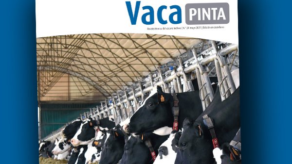 Xa dispoñible a versión en galego de Vaca Pinta 24