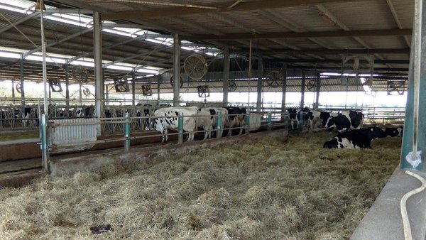 La importancia de los detalles en el manejo del secado