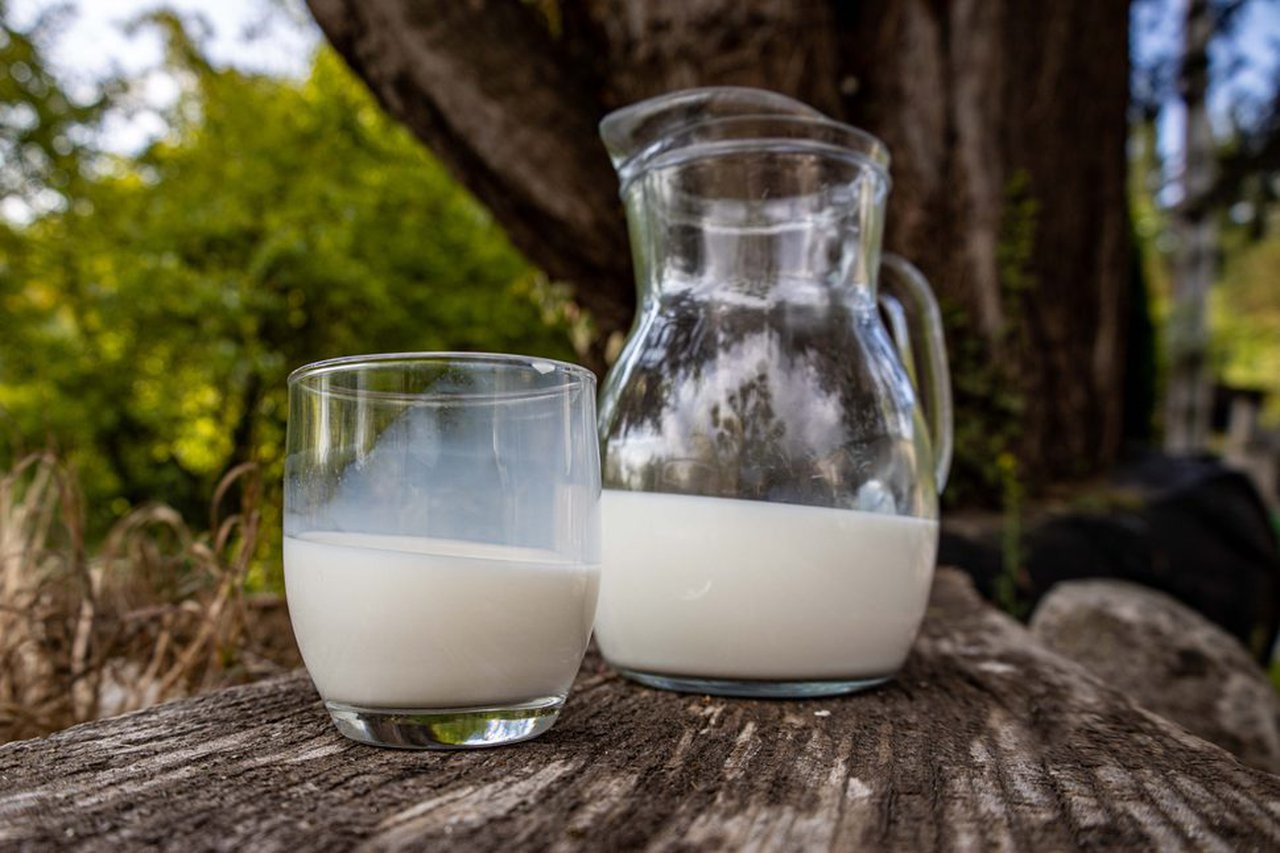 Constitución de un panel estable de catadores de leche líquida en Cantabria