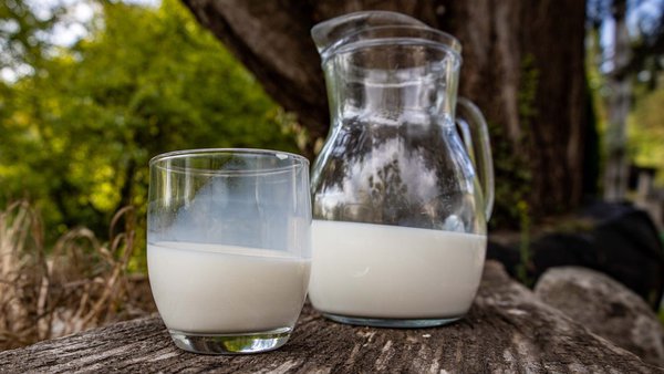 Constitución de un panel estable de catadores de leche líquida en Cantabria