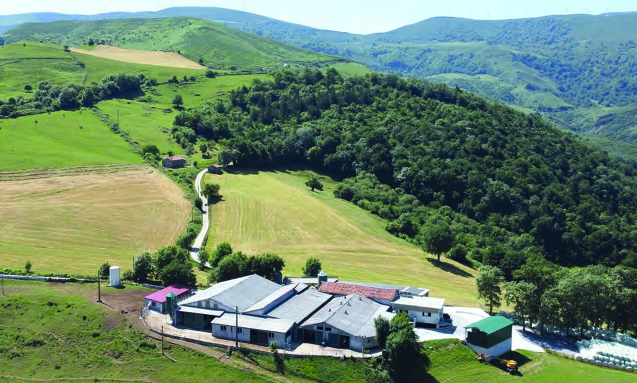 Análisis de la viabilidad económica del vacuno lechero en Cantabria según el sistema de alimentación