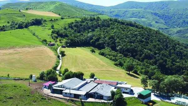 Análise da viabilidade económica do vacún en Cantabria segundo o sistema de alimentación