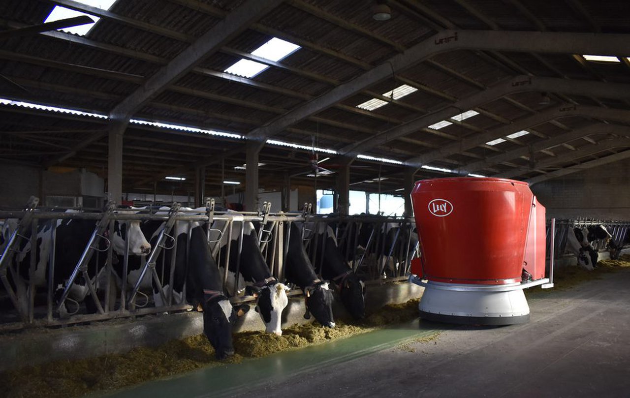 Evolución del manejo y la producción de SAT Arenas con un sistema de alimentación robotizado