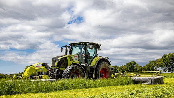 Adaptarse ou morrer: sustentabilidade na produción de forraxes ensiladas