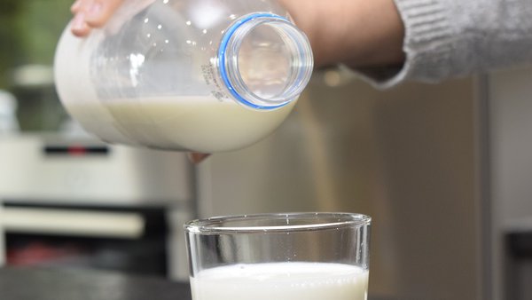 O consumo de leite e a súa importancia na saúde ao longo da vida