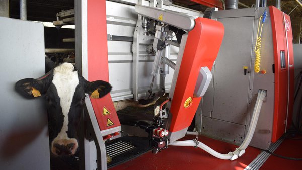 Robots de muxido: que sabemos e que continuamos aprendendo?