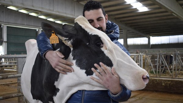Entre bambolinas: amor, esforzo e mellora continua