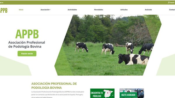 Tres anos visibilizando a profesión