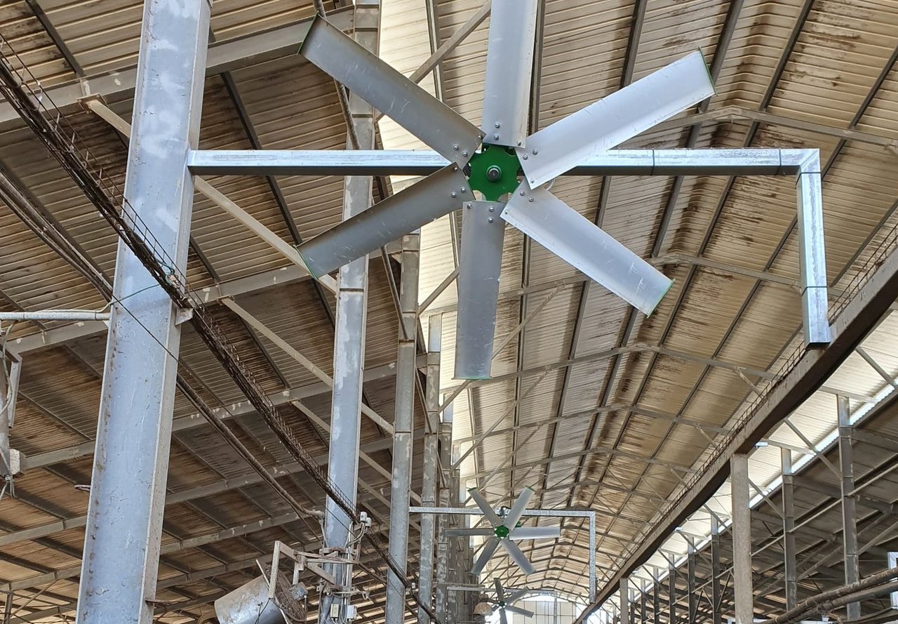 A industria láctea chinesa está aprendendo a lidar co estrés por calor