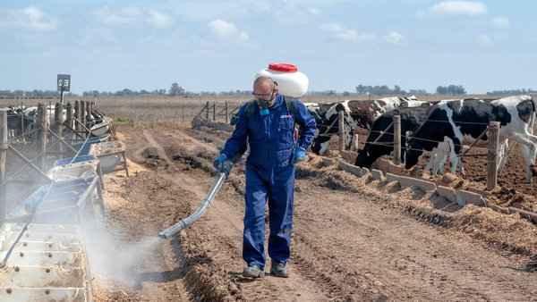 Combater as moscas de maneira sustentable en lugares de difícil acceso, parques, xardíns e clubs tamén é posible