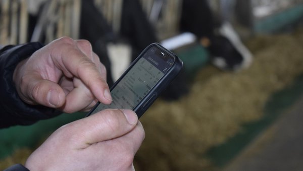Trámites burocráticos dos gandeiros de leite mediante o uso das TIC