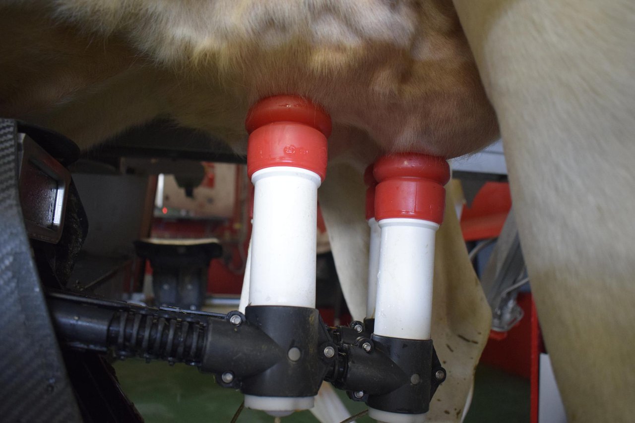 A produción de leite en Galicia desde a perspectiva do control leiteiro