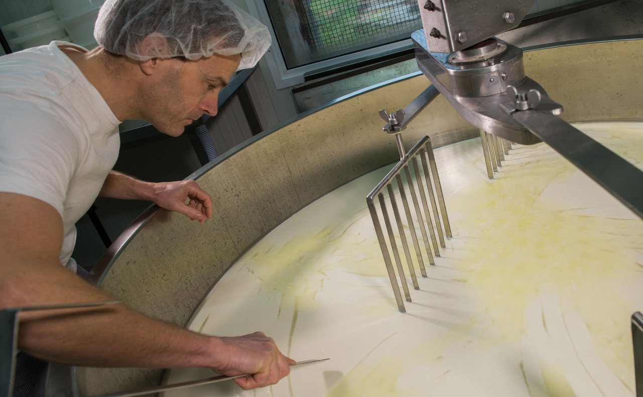 Alteración de la calidad de la leche por lipólisis