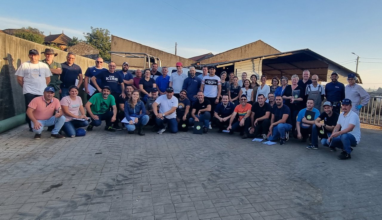Curso de Clasificación de Mobilidade RoMS