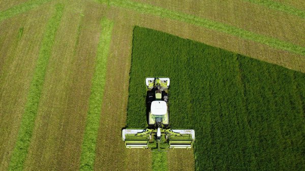 O ensilado de herba de calidade: a clave para compensar as flutuacións dos custos de alimentación
