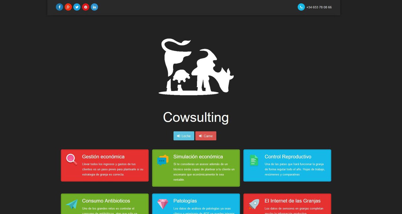 O método de traballo www.cowsulting.com