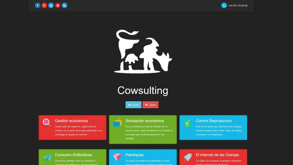 O método de traballo www.cowsulting.com