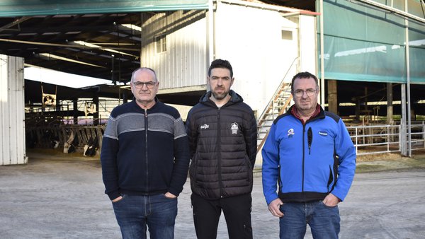 Cooperativizar procesos para optimizar resultados