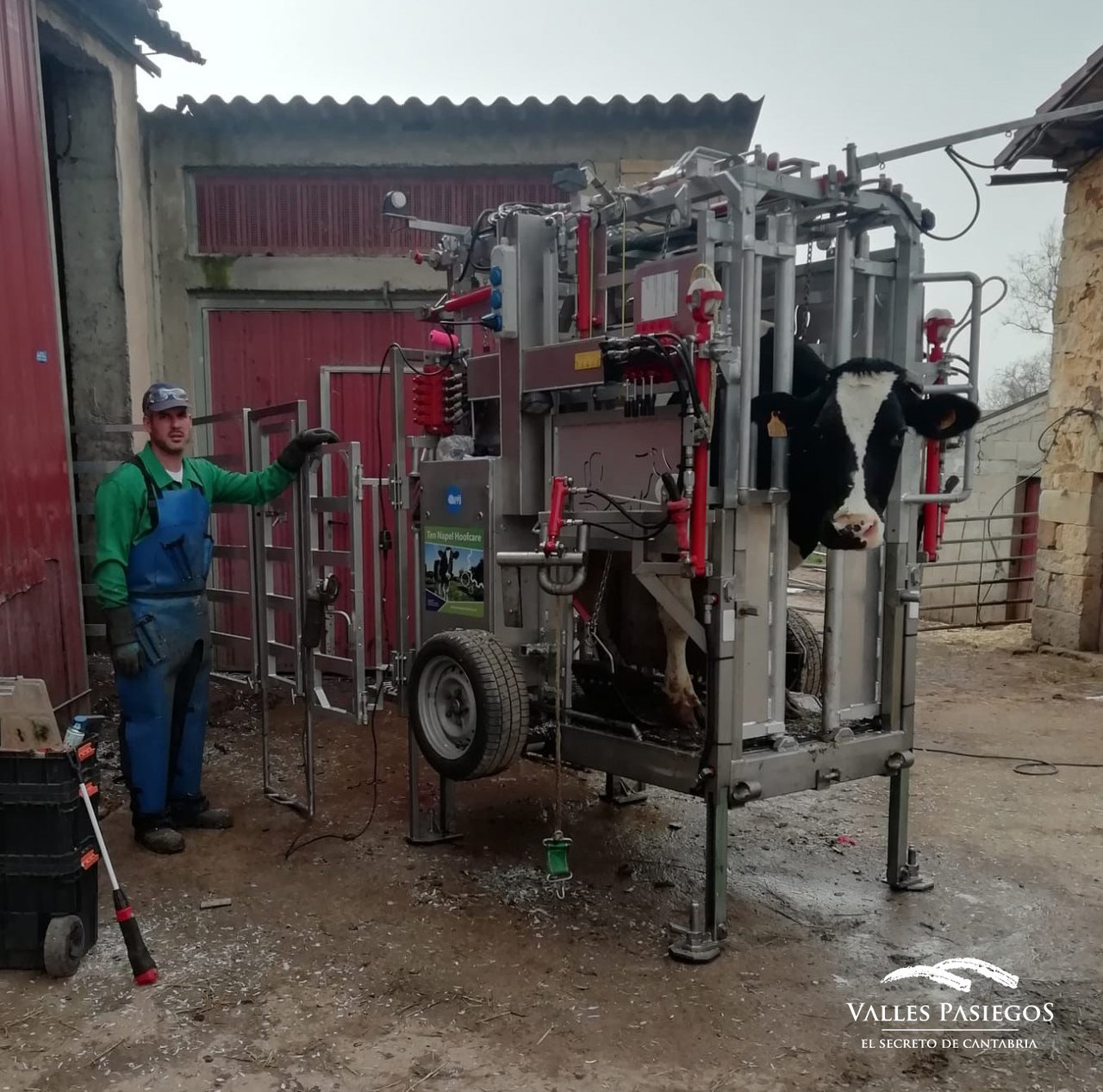 Os podólogos bovinos invisten en melloras e avances para o sector