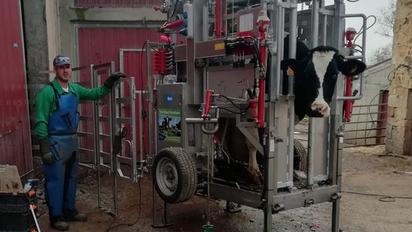 Os podólogos bovinos invisten en melloras e avances para o sector